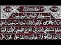 Surah Yaseen Surah Ar Rahman | Best Qur'an Recitation | Surah Yasin Tilawat | With Arabic text?!🥰🥰🥰?