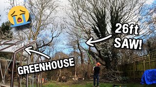 Tree pruning - I nearly DESTROYED our new greenhouse!