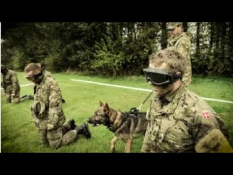 Video: Hvordan GRU Specialstyrker Træner