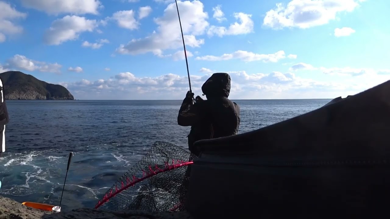 대마도 낚시 벵에돔 무늬