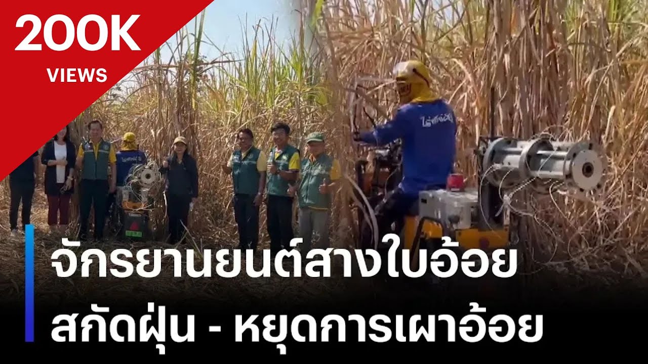 จักรยานยนต์สางใบอ้อย ใช้สกัดฝุ่น-หยุดการเผาอ้อย | เนชั่นระวังภัย | 27  ม.ค. 68 | NationTV22