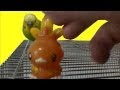 おしゃべりインコのピッピvsポケモン#3！Bird vs Pokemon!