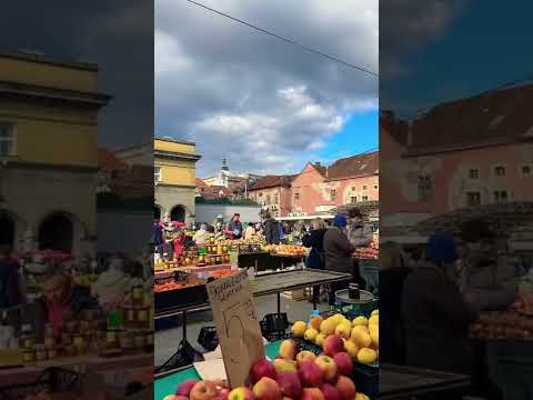 Video: Февралда Хорватияда эс алуу