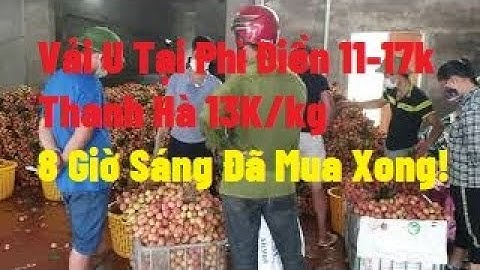 Cập Nhật Giá Vải Thanh Hà, U Hồng Tại Ngã Ba Cầu Chét 8 Giờ Đã Xong  l Vải Thiều Lục Ngạn