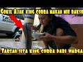 KEREN KING COBRA MAKAN MIE BAKSO BARENG TARZAN INOEN