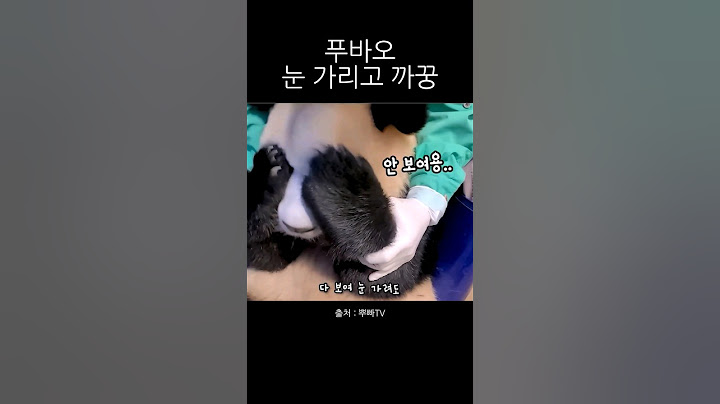 푸바오 눈가리고 까꿍... #fubao #panda #푸바오