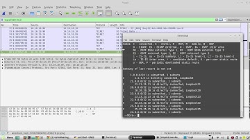 TELNET vs SSH explained with Wireshark packet capture | explain TCP header and IP header of Telnet