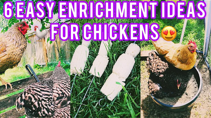 Easy Enrichment Ideas for Chickens!!🐓💗