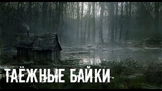 Тайга моя заветная. Страшные. Мистические. Творческие истории. Хоррор