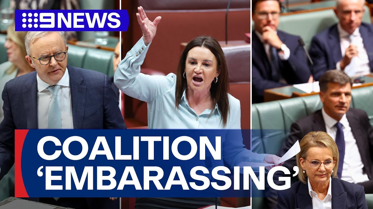 'Fix it today': Calls for Coalition to reform amid surging One Nation party | 9 News Australia