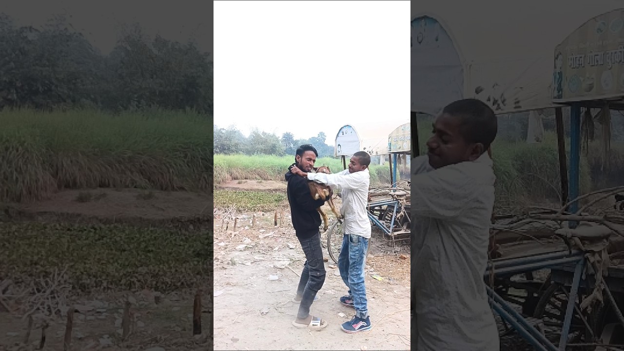 New Year Party Cancel 😞 