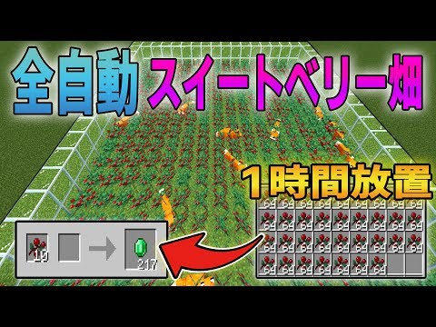 マイクラ 全自動スイートベリー農場の作り方 キツネ式 回路講座 Youtube