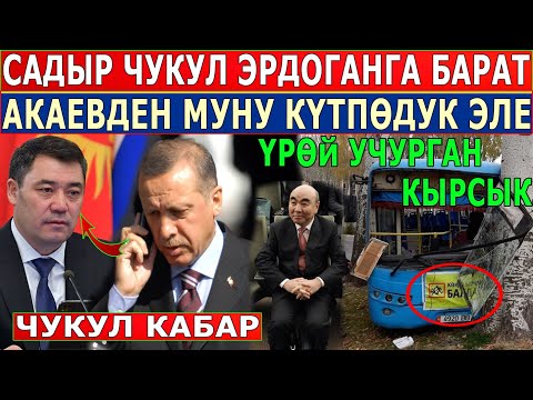 Video: Студенттер күнүн белгилөө менен кандайча көңүл ачууга болот