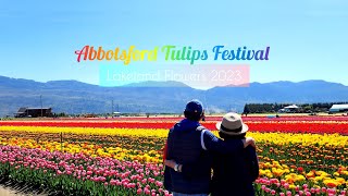 Abbotsford Tulips Festival 2023 (Lakeland Flowers)