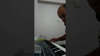 Sinan Özen - Gittiğimiz Yerlere (Korg Pa800 Farkiyla)