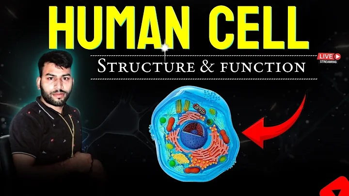 Human Cell | Structure And Function Of Cell | मानव कोशिका | CELL | The Unit Of Life |cell Organelles