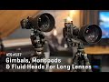 Approaching the Scene 137: Gimbals, Monopods & Fluid Heads For Long Lenses