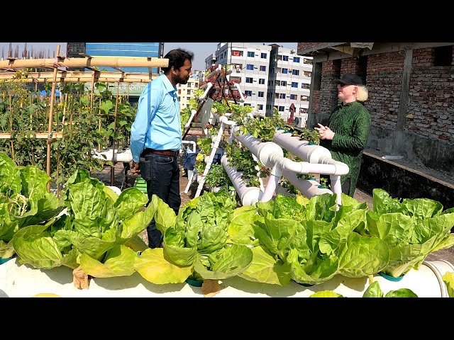 ১২ বছরে ঢাকার ৫ হাজার ছাদ দখল করেছেন গ্রীণ সেভার্সের রনি, টার্গেট ৫ লাখ