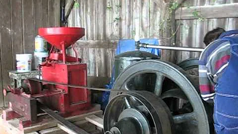 Survival Schubert The Grist Mill - Hit miss - put ...