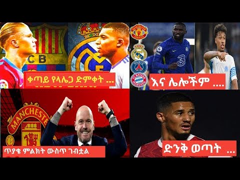 ቪዲዮ: የስፔን ሞስን መግደል - የስፓኒሽ mossን እንዴት ማስወገድ እንደሚችሉ ይወቁ