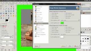 Appearance - GIMP 2.8 Beginners' Guide E15