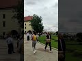 Вавель