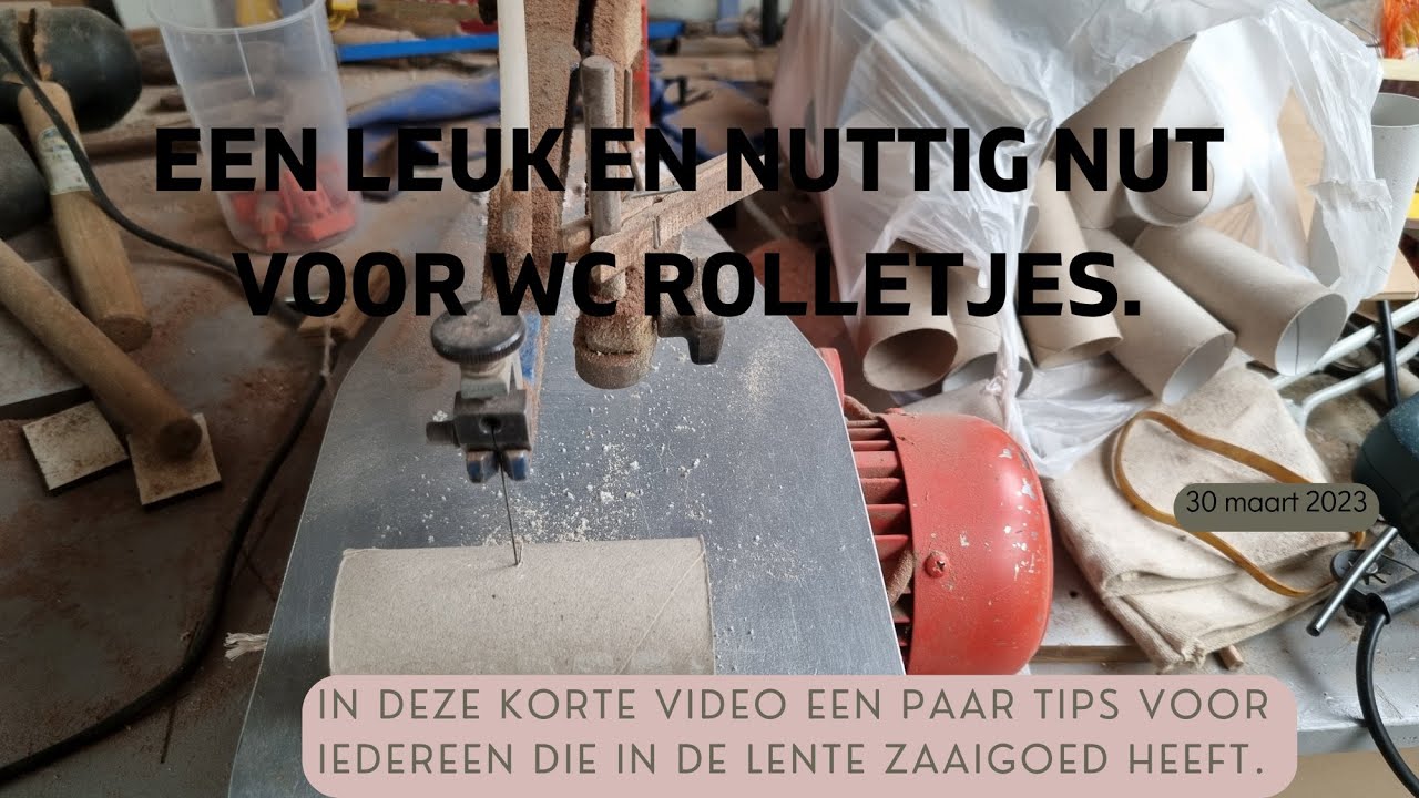 Zaaigoed, hoe je met weinig moeite en zonder kosten heel veel kan doen