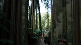 Banyan Trees #ai #alternatetimelines #military #grunt #army #soldier #spy #airborneranger