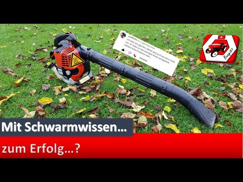 Leaf blower is running again, much to the neighbors' dismay 🤣 DIY Math | Dolmar PB 252.4
