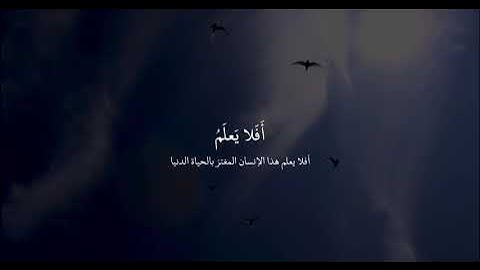 أفلا يعلم إذا بعثر مافي القبور سورة العاديات القارئ #عبدالرحمن_مسعد