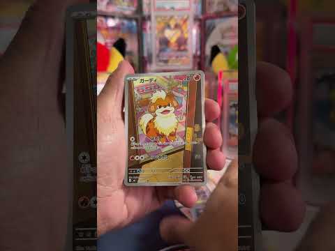 Should I Open it? Or Should I Keep it Sealed? - Episode 740 - *NEW* Storm Emeralda
