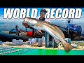 World record longest wade fishing trip  it got dangerous