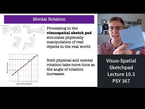 Video: Hvad er den visuospatiale skitsebloks rolle?