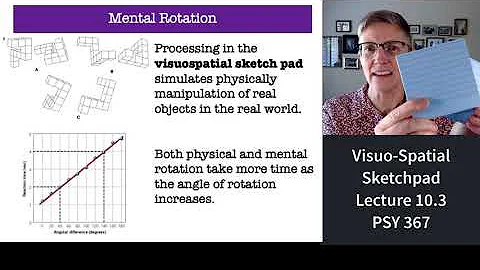 367 Lecture 10.3 VisuoSpatial Sketchpad of Working Memory