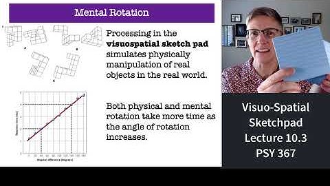367 Lecture 10.3 VisuoSpatial Sketchpad of Working Memory