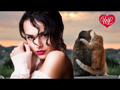 ОБНИМАШКИ ♥ ЗАВОДНОЙ ЗАЖИГАТЕЛЬНЫЙ ШАНСОН В ДОРОГУ WLV ♥ RUSSIAN MUSIC HITS WLV