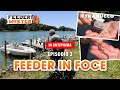 FEEDER in FOCE: strategie, montature, attrezzi » FEEDER Master ANTEPRIMA S4E3 @trabuccofishing​