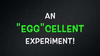 Chem Video: An Eggcellent Experiment