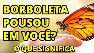 DISCOVER THE MEANING WHEN A BUTTERFLY LANDS ON YOU!