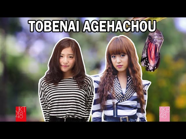 【Tobenai Agehachou 🦋】AKB48 | JKT48 class=