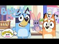 Bluey and Bob Bilby | CBeebies