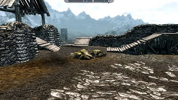 Skyrim Texture Glitch?