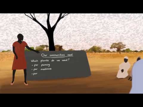 वीडियो: मरुस्थलीकरण एक वैश्विक समस्या क्यों है?