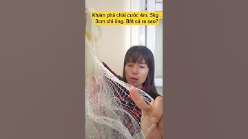 Khám phá chài cước 4m 5kg, mắt 3cm chì ống – bắt cá tổng hợp hiệu quả cùng Gia Phạm Fishing