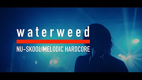 waterweed - Counterfeit (Diffuse Tour 2019 - Music Video)