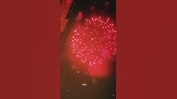 Display Shells Master Fireworks#Shorts