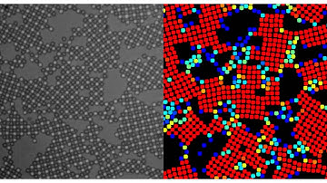 Visualizing Atoms During Phase Transition