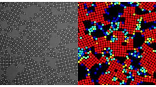 Visualizing Atoms During Phase Transition