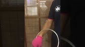 ちょっと懐かしいおもちゃ発見したww ジターリング Youtube ちょっと懐かしいおもちゃ発見したww ジターリング Youtube