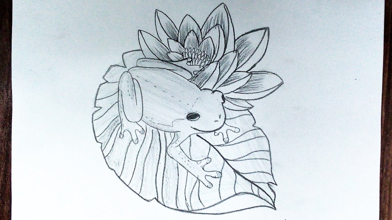 How to draw a frog on a leaf easy frog drawing